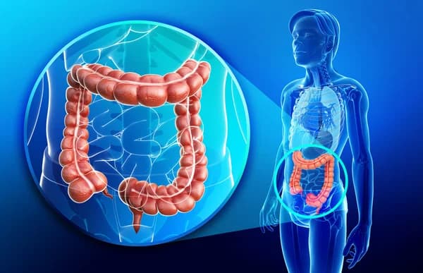 Ilustración anatómica del sistema digestivo e intestinos para la terapia colónica en Rena.Ser, Acassuso